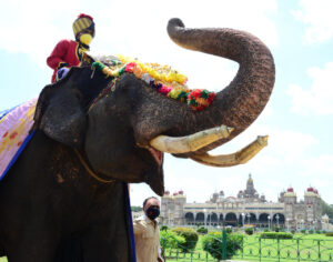 ಮೈಸೂರು ದಸರಾದಲ್ಲಿ ಕೊಡಗಿನ ಗಜ ಪಡೆಗಳದ್ದೇ ದಬಾ೯ರ್.