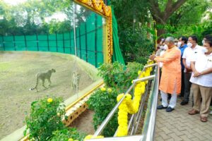 ಆಫ್ರಿಕನ್ ಚೀತಾ ಮೈಸೂರು ಮೃಗಾಲಯದಲ್ಲಿ ವೀಕ್ಷಣೆಗೆ