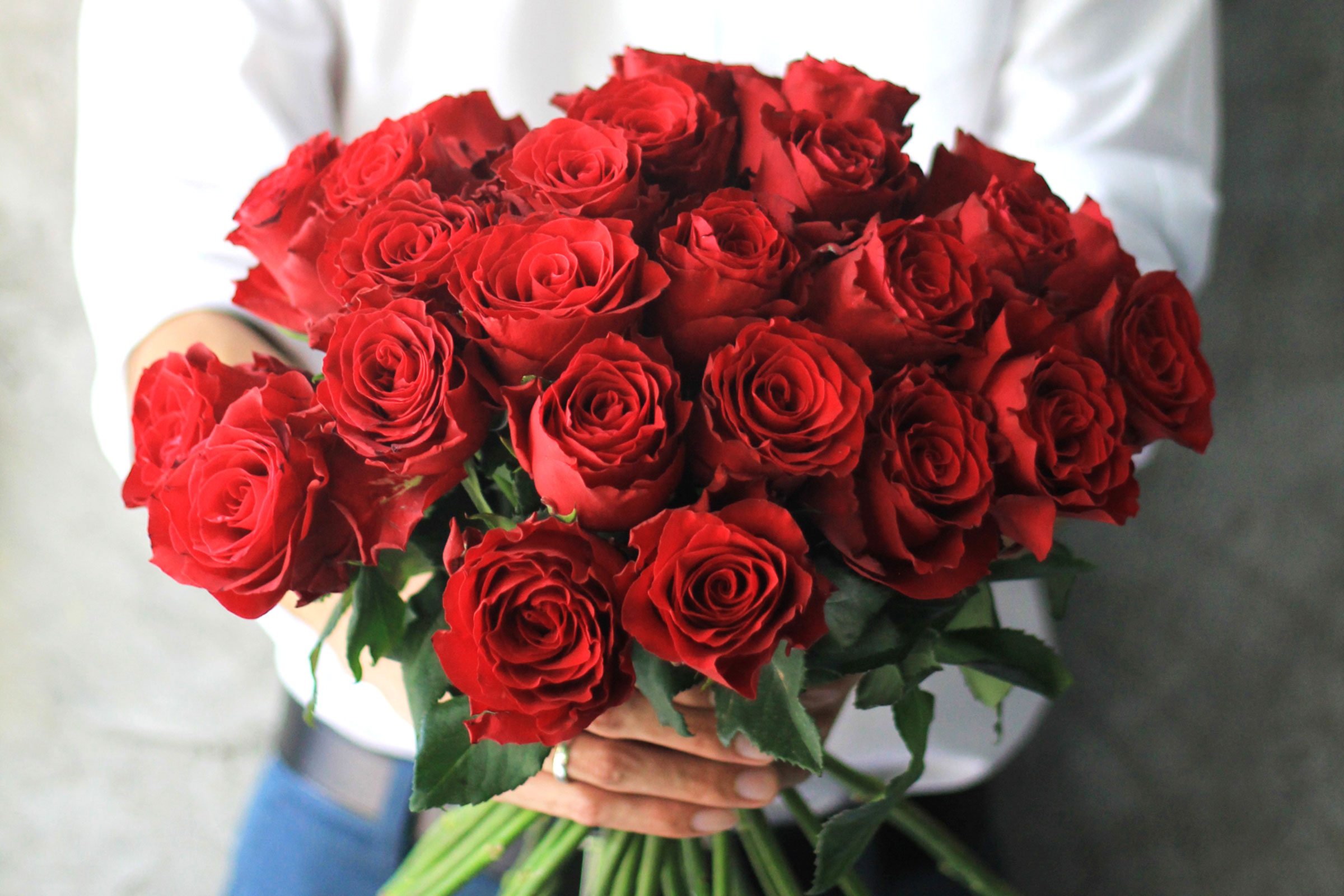 01 Why Are Roses So Popular For Valentines Day 528431108 nattavutluechai
