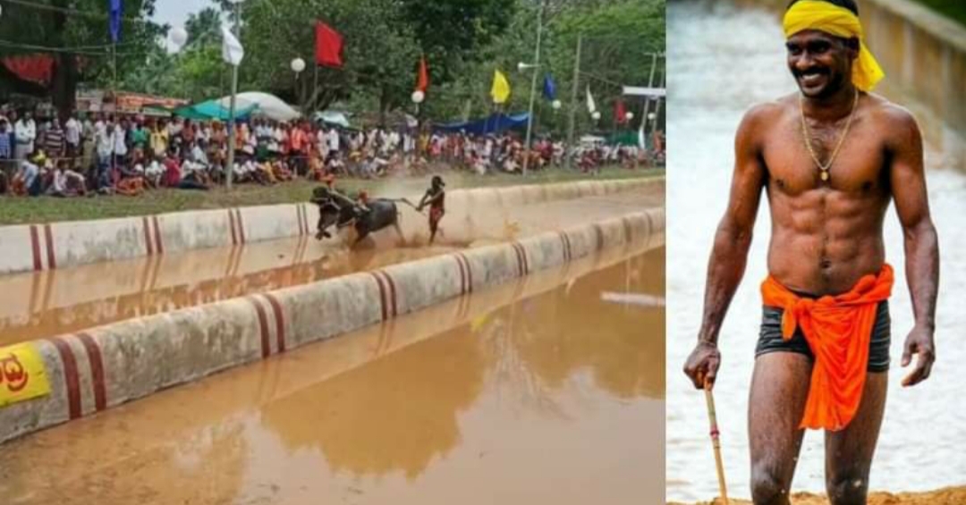 kambala