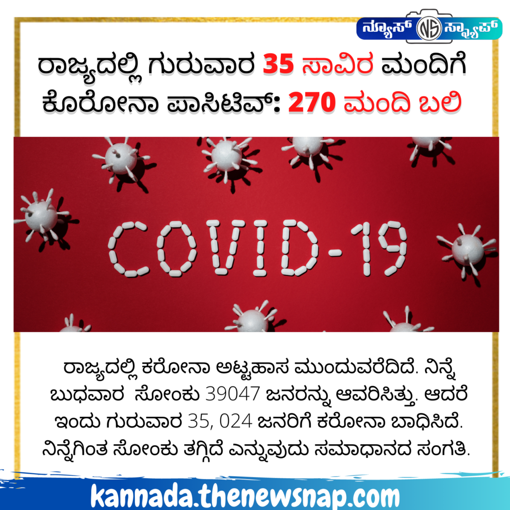 Rare sea lion making a comeback as its population rises by 5 3