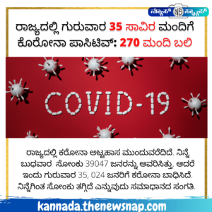 Rare sea lion making a comeback as its population rises by 5 3