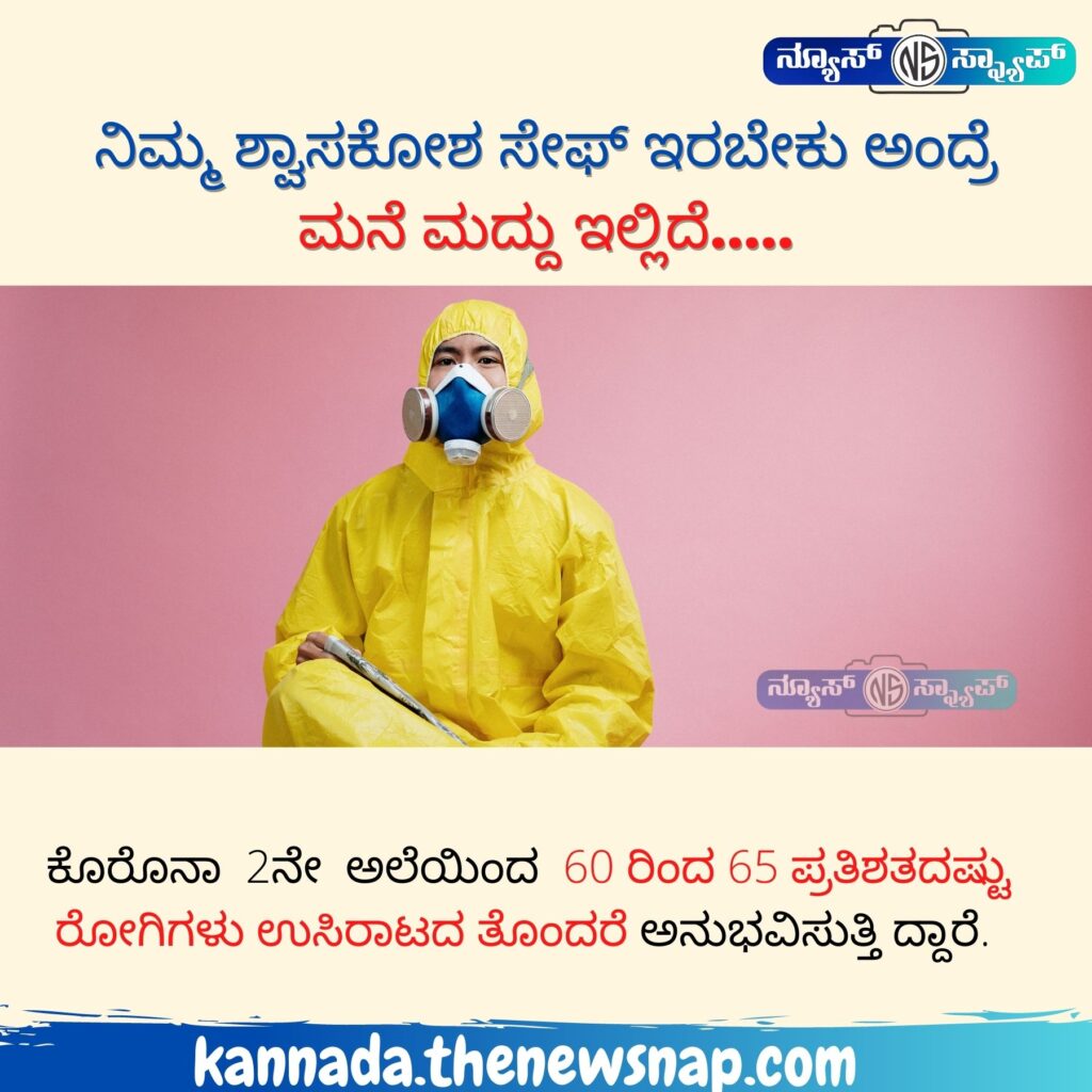 Rare sea lion making a comeback as its population rises by 5 5