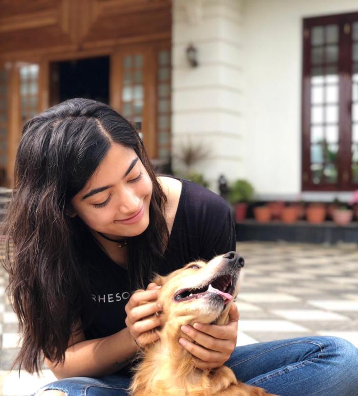 Rashmika Mandanna Fun Times With Her Cute Pets Photos 2
