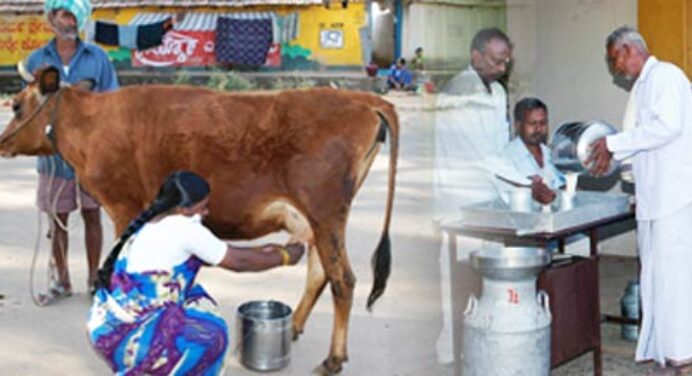 ರೈತರ ಹಾಲಿನ ದರ 2 ರು ಕಡಿತ :ಮನ್ ಮುಲ್ ನಿಧಾ೯ರ