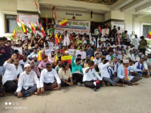 protest,litreature,politics