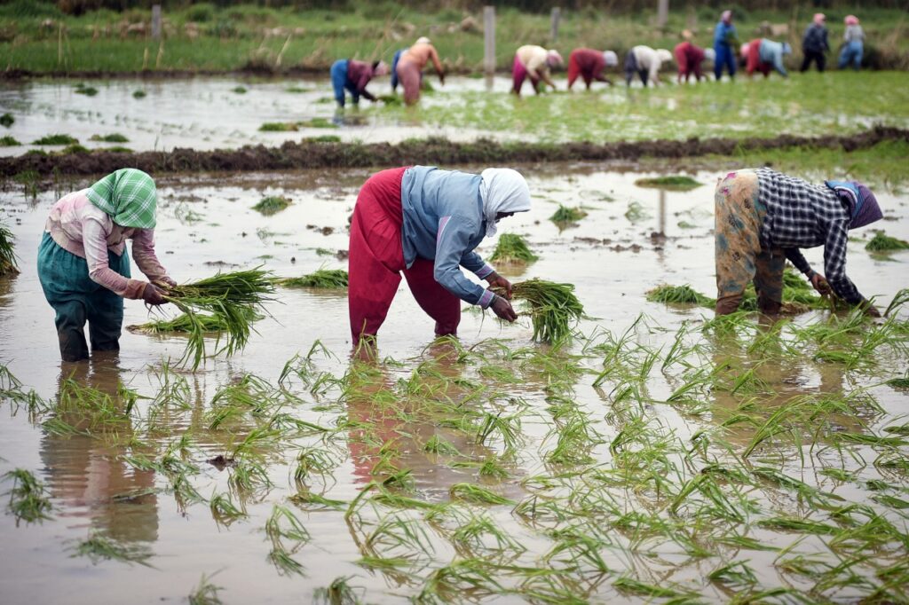 farmer , deposit , PM yojana