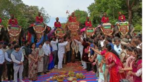 ನಾಡಹಬ್ಬ ದಸರಾ – 2023 ಆನೆಗಳ ವಿವರ