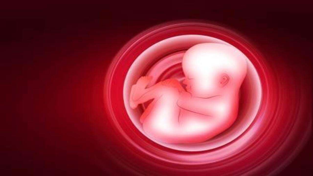 fetal