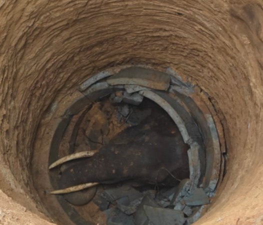 WhatsApp Image 2024 10 04 at 11.40.17 AM