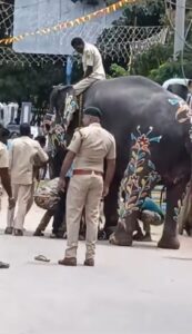 WhatsApp Image 2024 10 04 at 4.05.26 PM