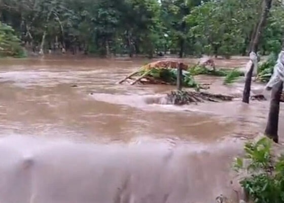 WhatsApp Image 2024 10 07 at 1.05.25 PM