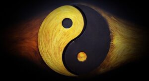 WhatsApp Image 2024 12 07 at 11.10.40 AM